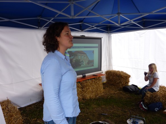 Bringt der Storch die Fohlen?