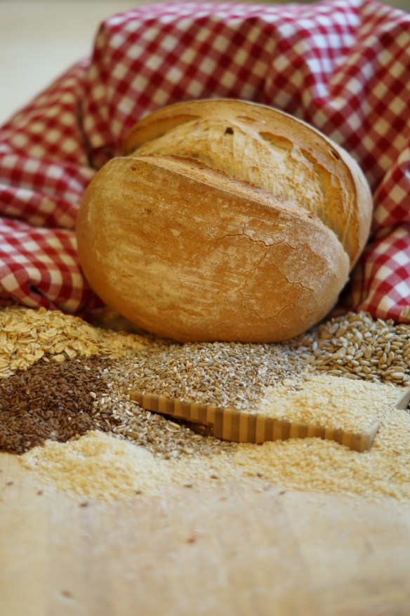 Unser Kohvedel Stuten