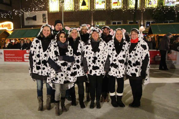 Sieger der Herzen. Unsere Eiskühe